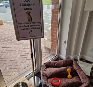Dog friendly corner in lobby area for you fur babies